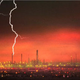 Illustration for article titled "The Road" Is Lined With Dismal Sayings, Skulls On Sticks In New Trailer